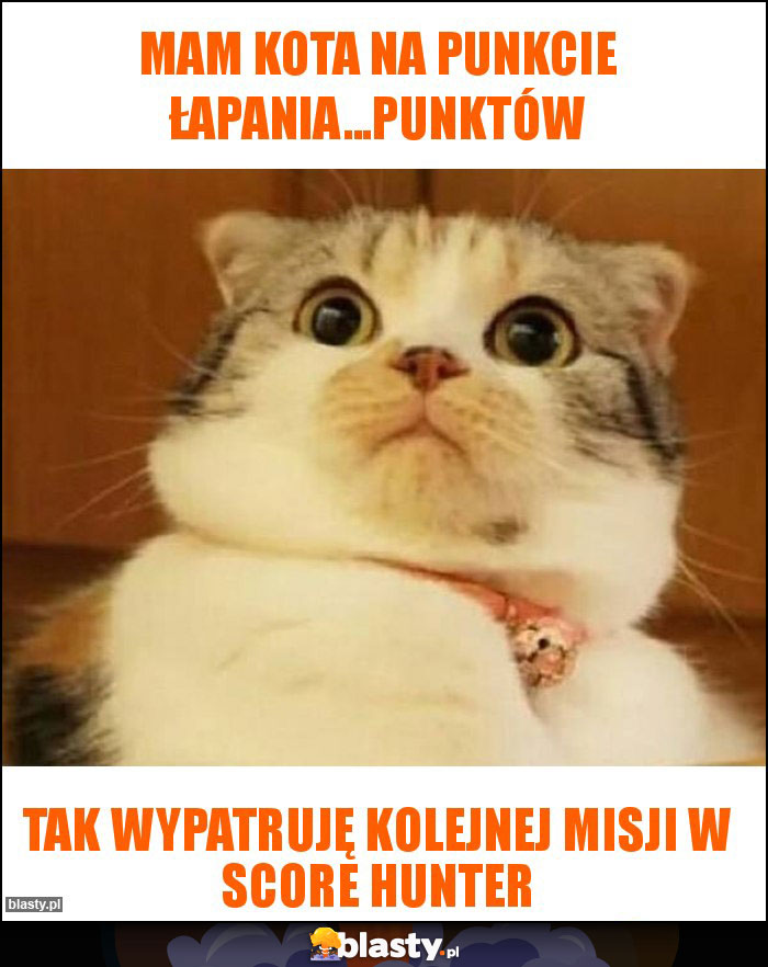 MAM KOTA NA PUNKCIE ŁAPANIA...PUNKTÓW MAM KOTA NA PUNKCIE ŁAPANIA...PUNKTÓW