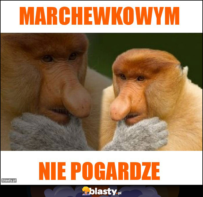 MARCHEWKOWYM MARCHEWKOWYM