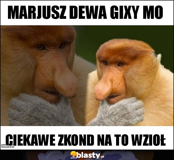 Marjusz dewa gixy mo Marjusz dewa gixy mo