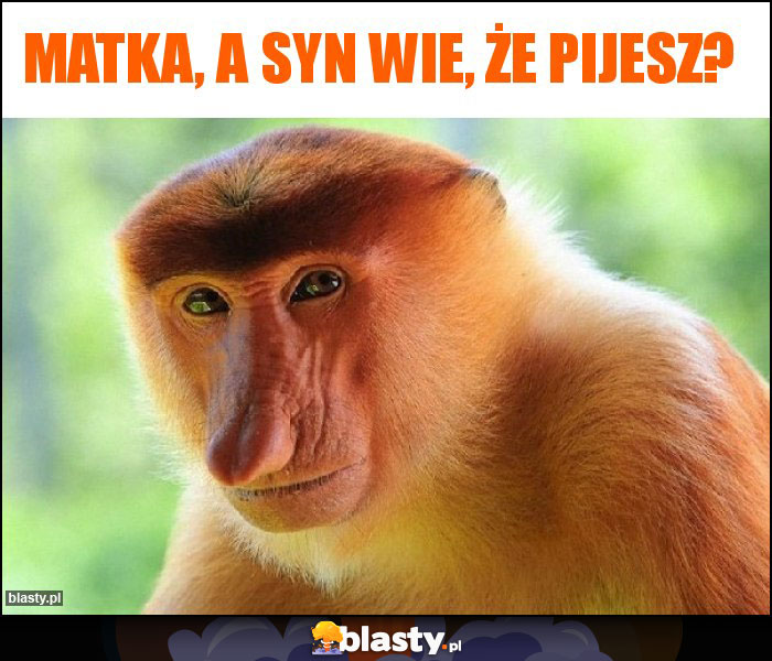 Matka, a syn wie, że pijesz? Matka, a syn wie, że pijesz?