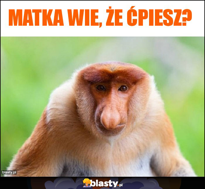 Matka wie, że ćpiesz? Matka wie, że ćpiesz?