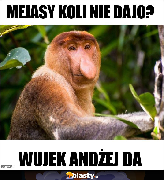 mejasy koli nie dajo? mejasy koli nie dajo?