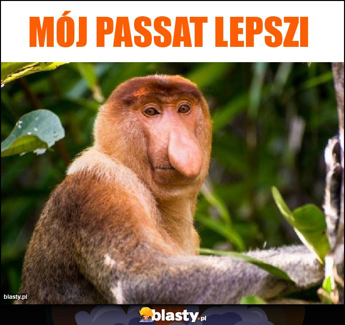 Mój passat lepszi Mój passat lepszi