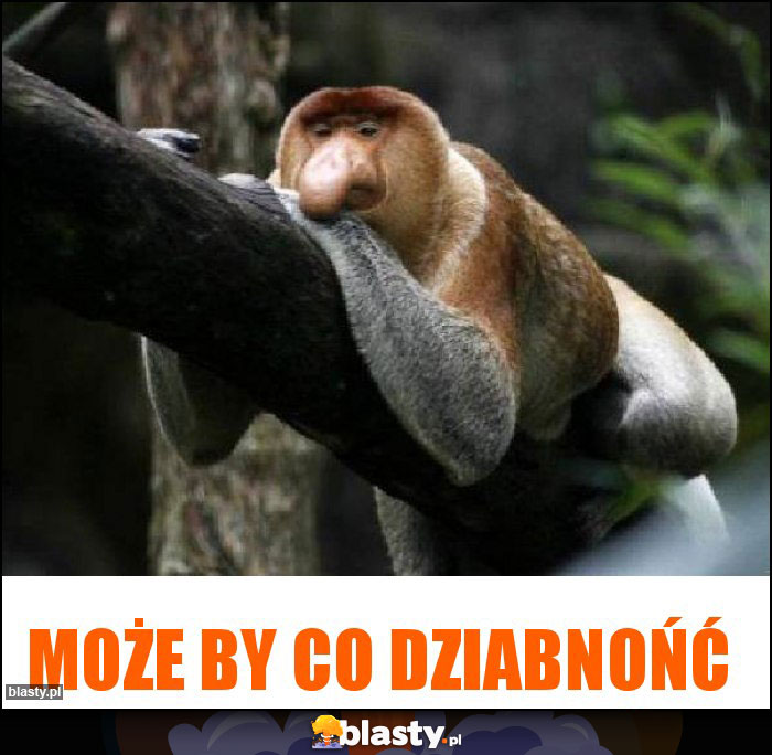 Może by co dziabnońć Może by co dziabnońć