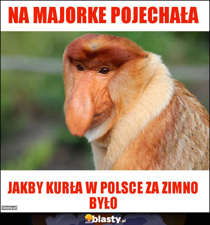 Na majorke pojechała Na majorke pojechała