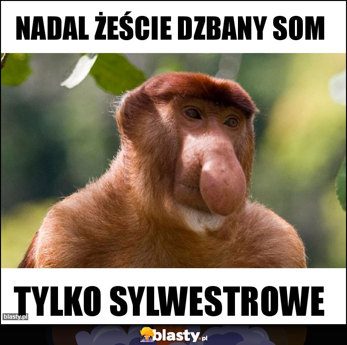 Nadal żeście dzbany som Nadal żeście dzbany som