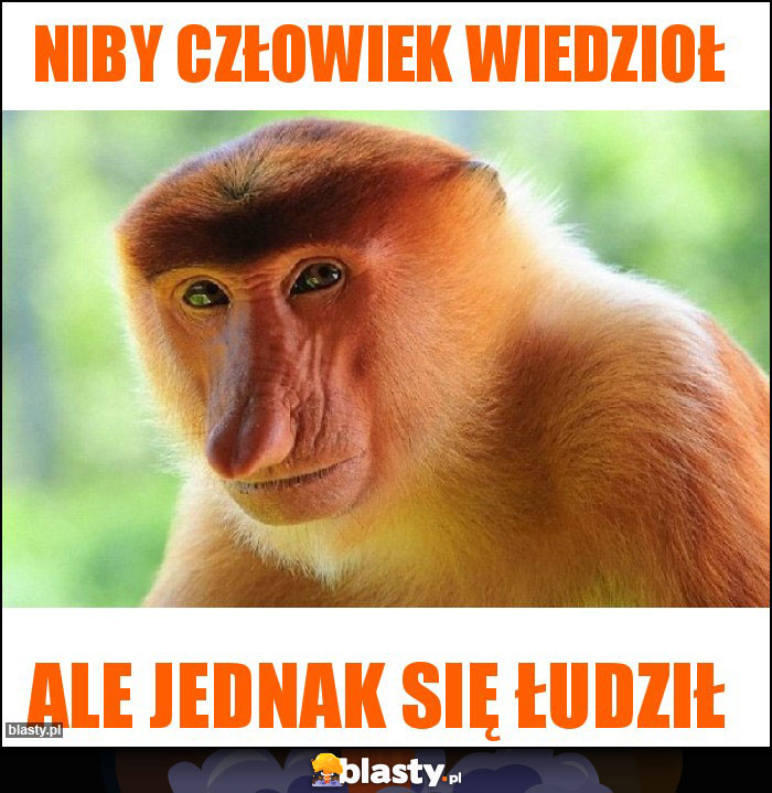 niby człowiek wiedzioł niby człowiek wiedzioł