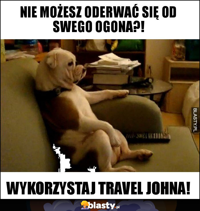 NIE MOŻESZ ODERWAĆ SIĘ OD SWEGO OGONA?!