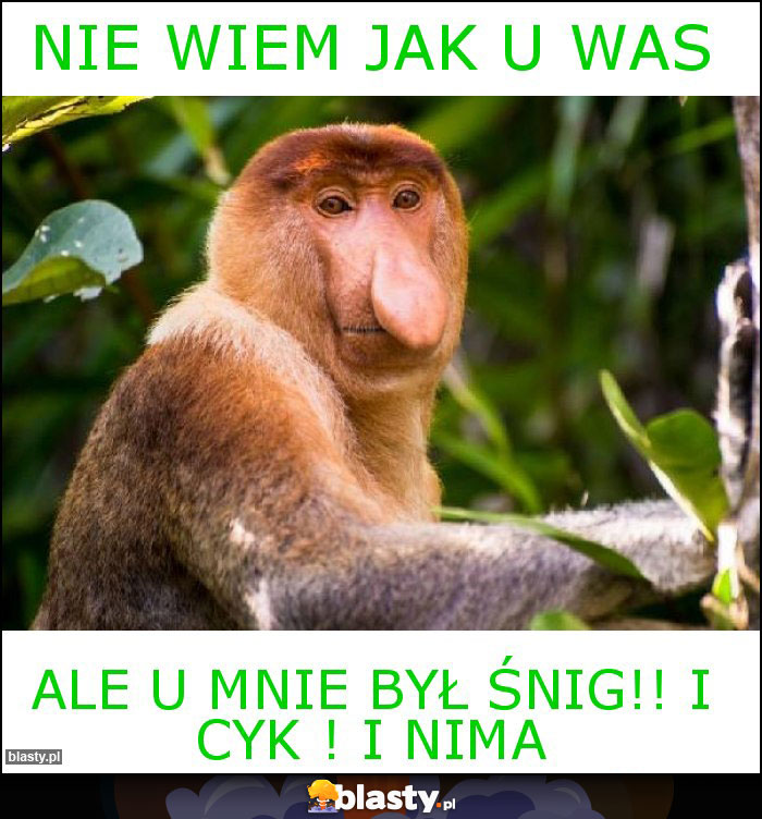 Nie wiem jak u was Nie wiem jak u was