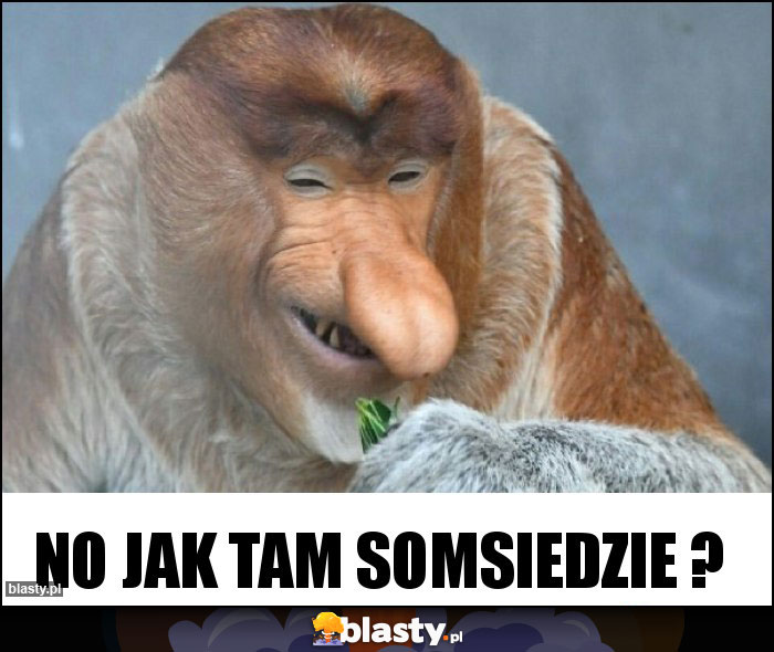 No jak tam somsiedzie ? No jak tam somsiedzie ?
