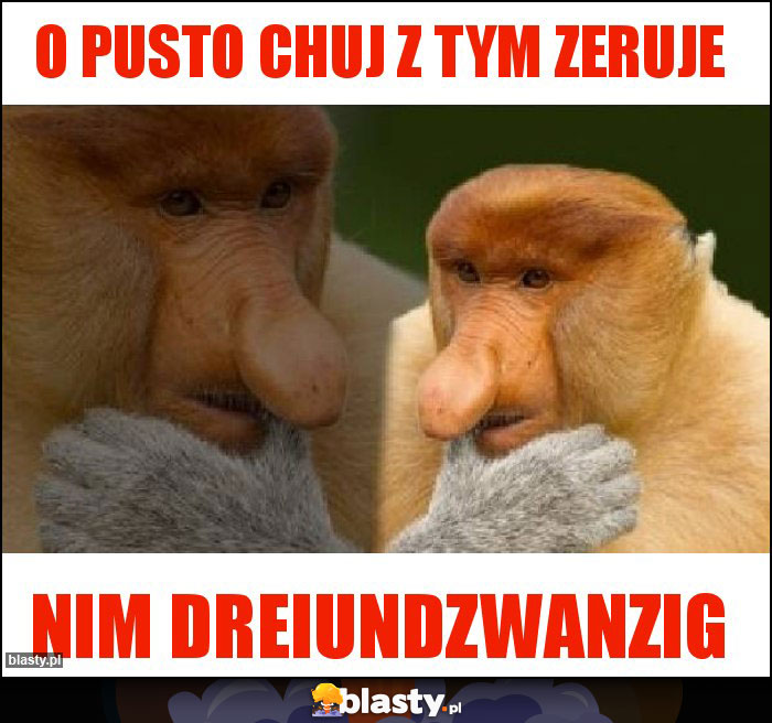 O pusto chuj z tym zeruje O pusto chuj z tym zeruje
