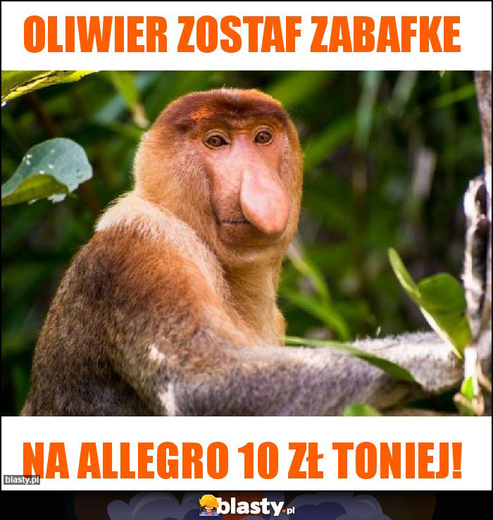 Oliwier zostaf zabafke Oliwier zostaf zabafke