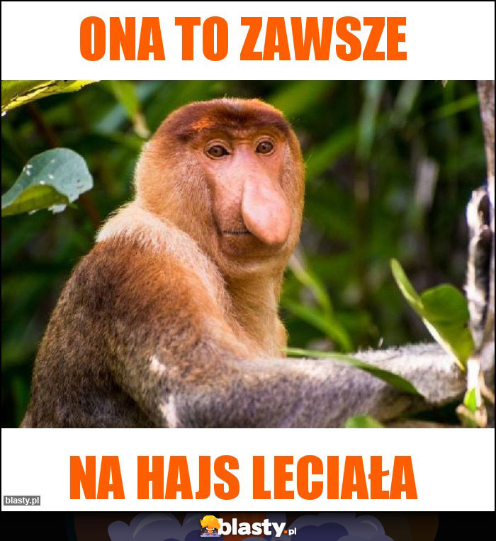 Ona to Zawsze Ona to Zawsze