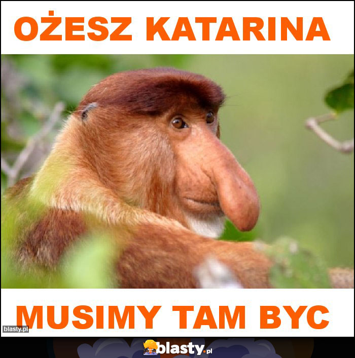 ożesz Katarina