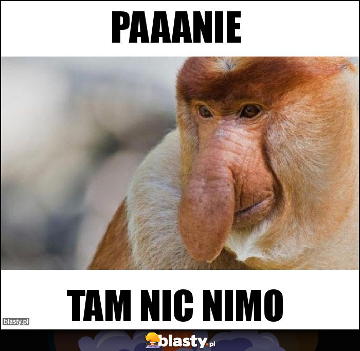 Paaanie