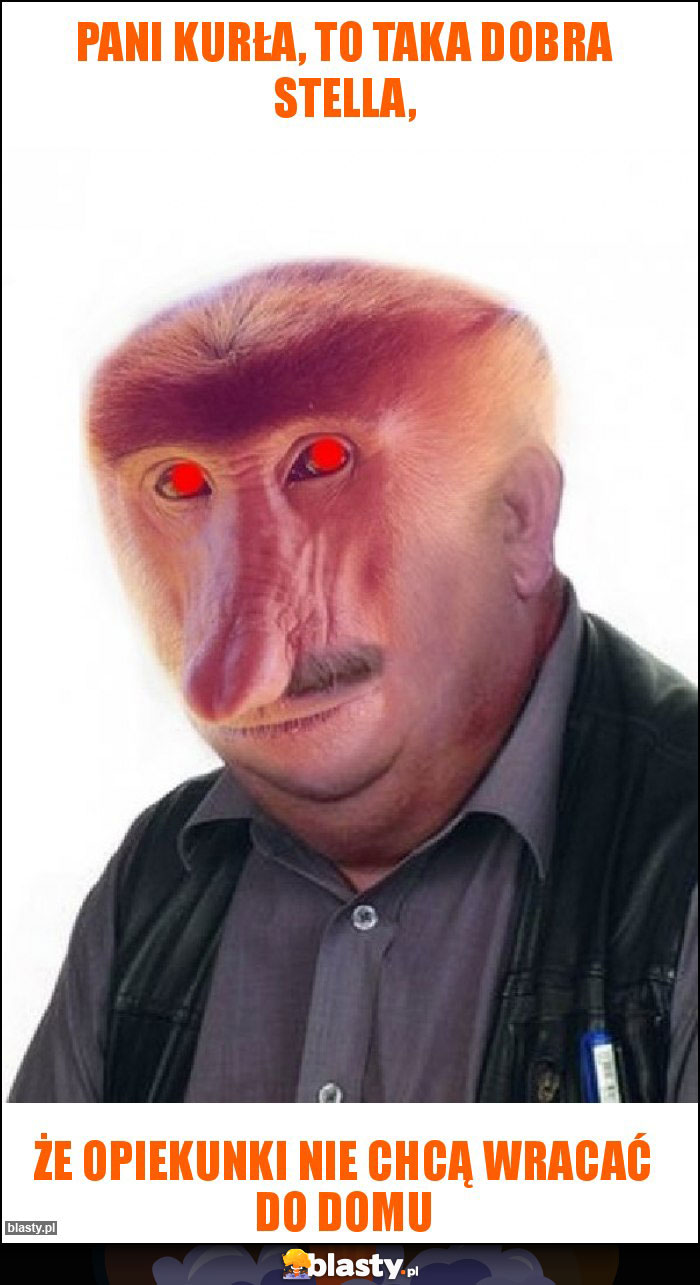 Pani Kurła, to taka dobra Stella, Pani Kurła, to taka dobra Stella,