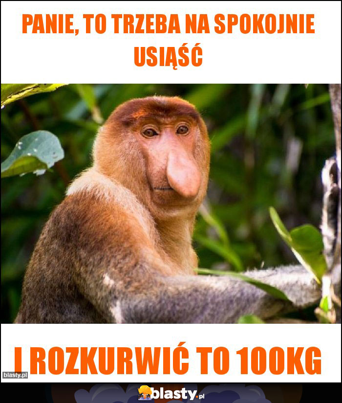 Panie, to trzeba na spokojnie usiąść Panie, to trzeba na spokojnie usiąść
