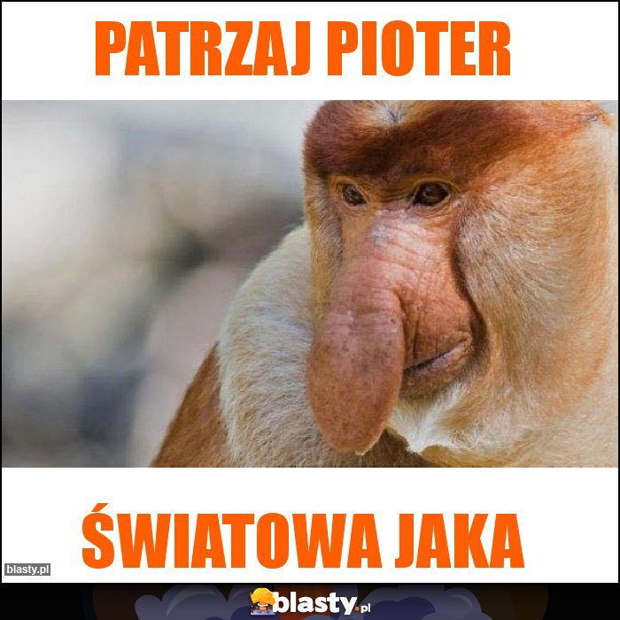 Patrzaj pioter Patrzaj pioter