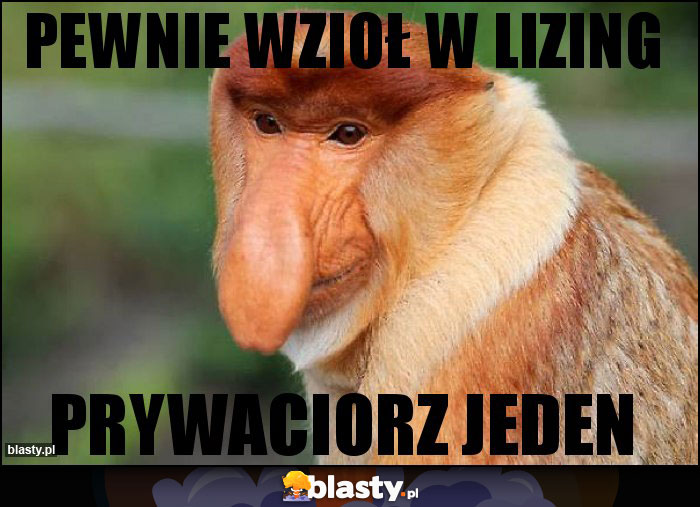 PEWNIE WZIoł w LIZING PEWNIE WZIoł w LIZING