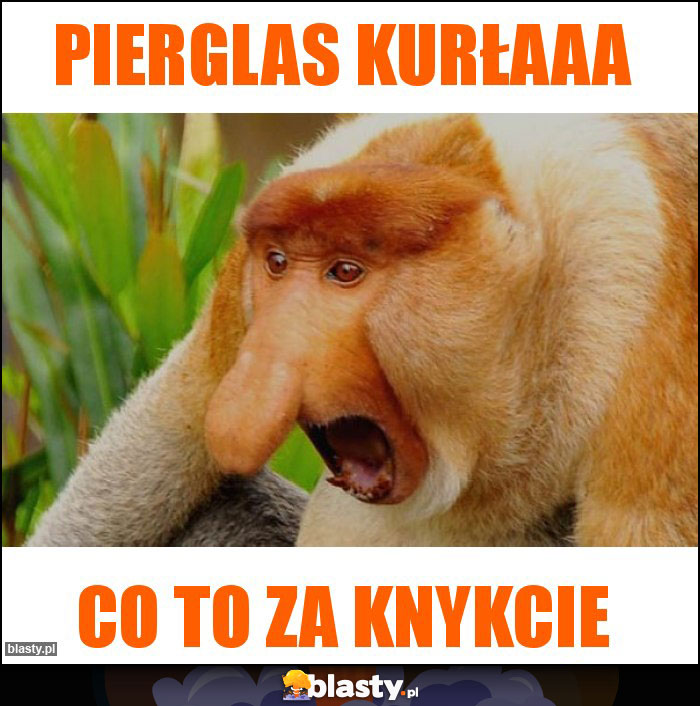 Pierglas kurłaaa Pierglas kurłaaa