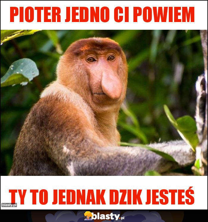 Pioter jedno Ci powiem Pioter jedno Ci powiem