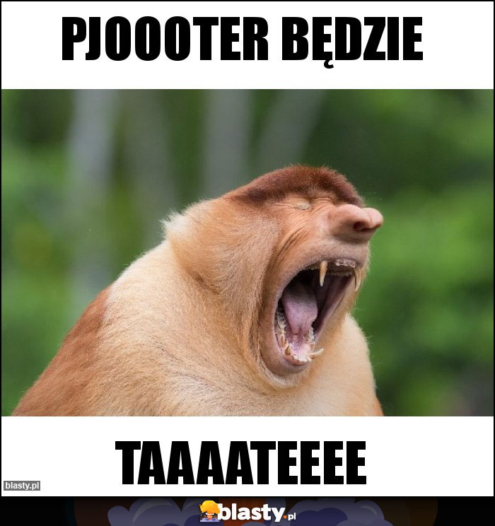 Pjoooter będzie Pjoooter będzie