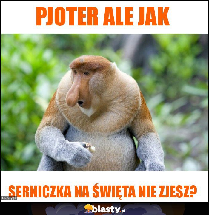 Pjoter ale jak Pjoter ale jak