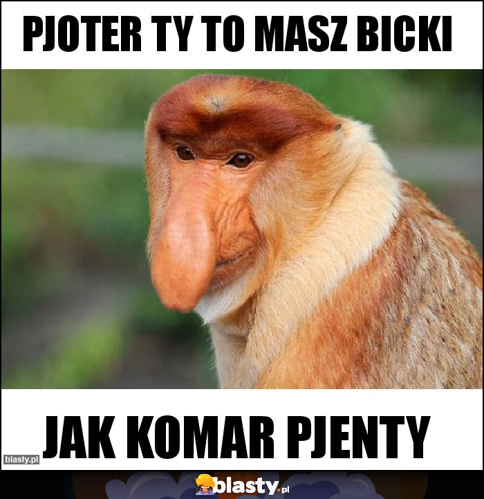 Pjoter ty to masz bicki Pjoter ty to masz bicki