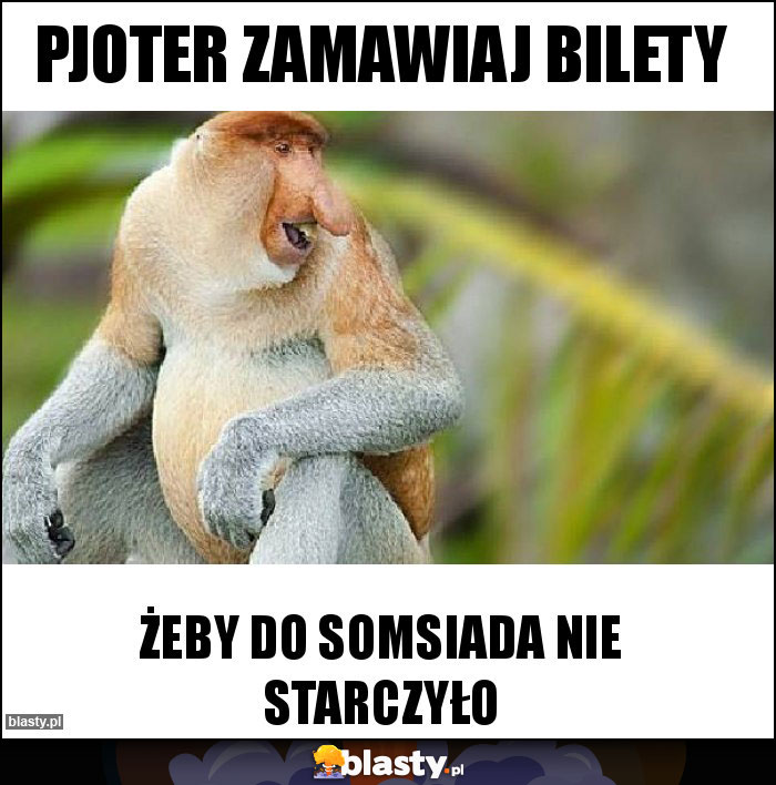 Pjoter zamawiaj bilety Pjoter zamawiaj bilety