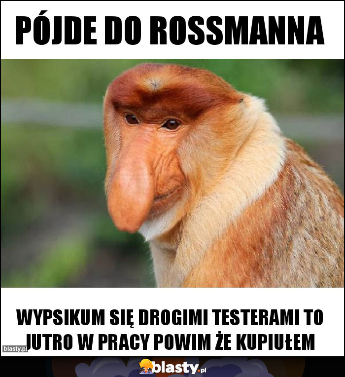PÓJDE DO ROSSMANNA PÓJDE DO ROSSMANNA