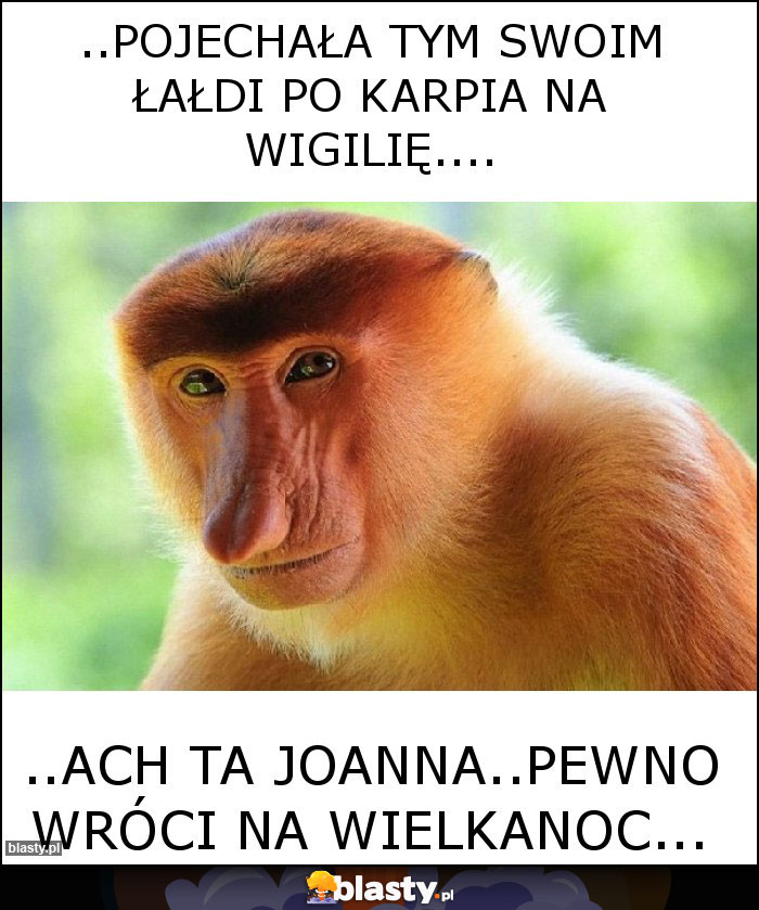 ..pojechała tym swoim Łałdi po karpia na wigilię.... ..pojechała tym swoim Łałdi po karpia na wigilię....
