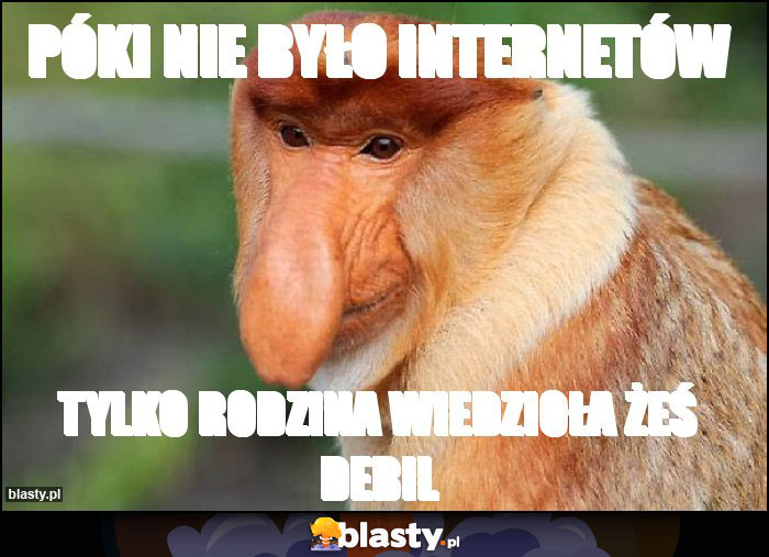 Póki nie było internetów Póki nie było internetów