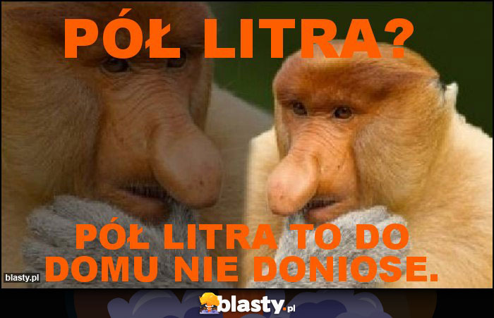 pół litra? pół litra?