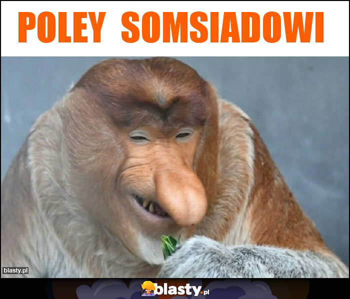 Poley somsiadowi Poley somsiadowi