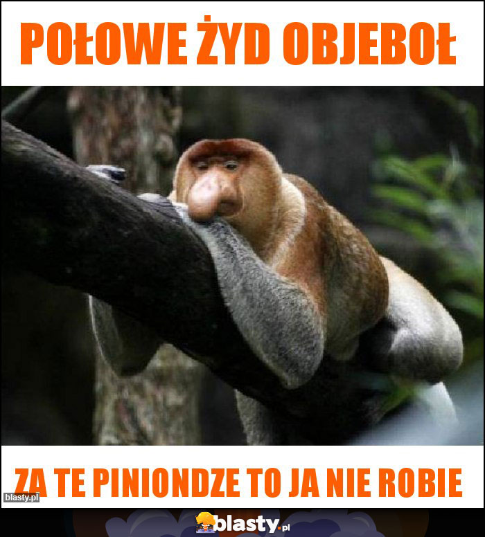 połowe żyd objeboł połowe żyd objeboł
