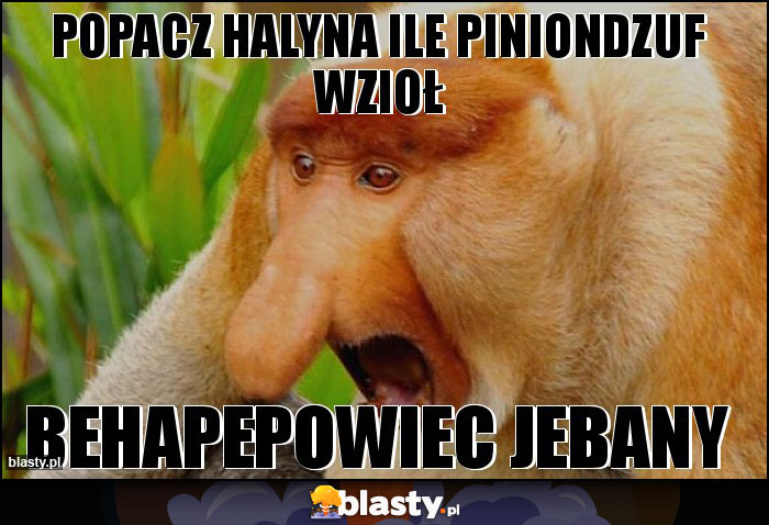 Popacz halyna ile piniondzuf wzioł Popacz halyna ile piniondzuf wzioł