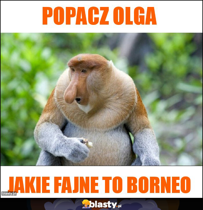Popacz olga Popacz olga