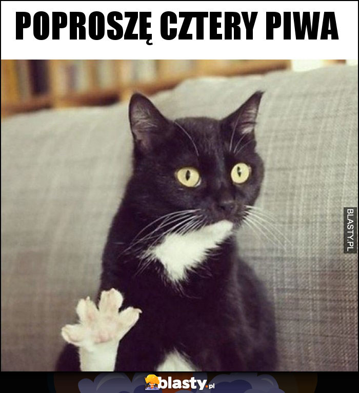 Poproszę cztery piwa Poproszę cztery piwa
