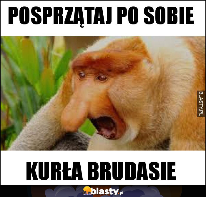 posprzątaj po sobie posprzątaj po sobie