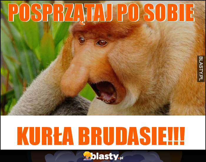 posprzątaj po sobie posprzątaj po sobie