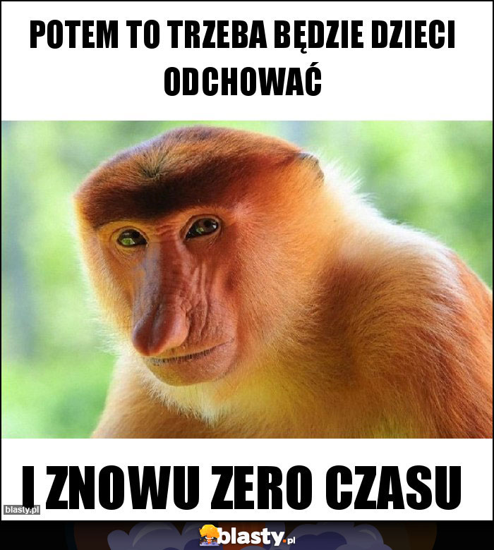 Potem to trzeba będzie dzieci odchować Potem to trzeba będzie dzieci odchować