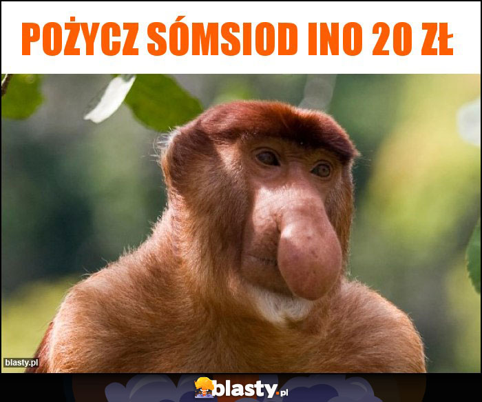 Pożycz sómsiod ino 20 zł Pożycz sómsiod ino 20 zł