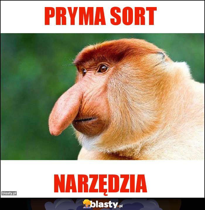 PRYMA SORT PRYMA SORT