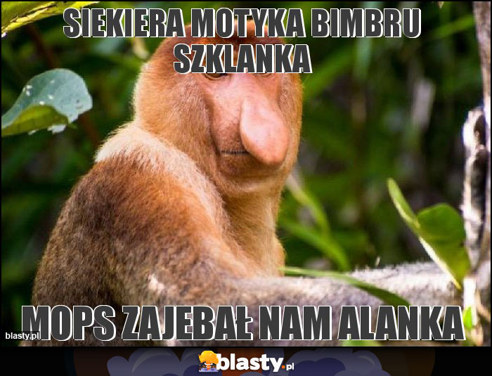 Siekiera motyka bimbru szklanka Siekiera motyka bimbru szklanka