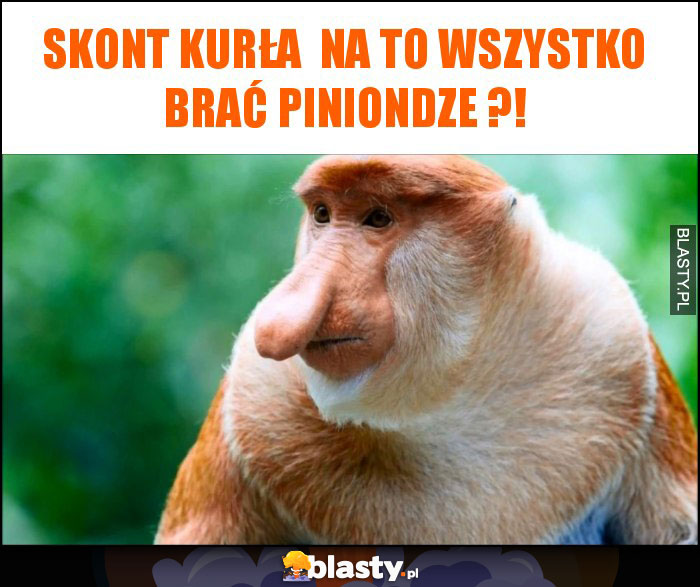 skont kurła na to wszystko brać piniondze ?! skont kurła na to wszystko brać piniondze ?!