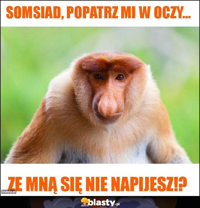 Somsiad, popatrz mi w oczy... Somsiad, popatrz mi w oczy...