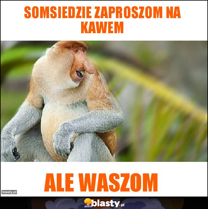 SOMSIEDZIE ZAPROSZOM NA KAWEM SOMSIEDZIE ZAPROSZOM NA KAWEM