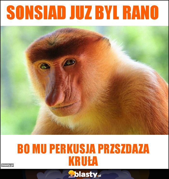 sonsiad juz byl rano sonsiad juz byl rano