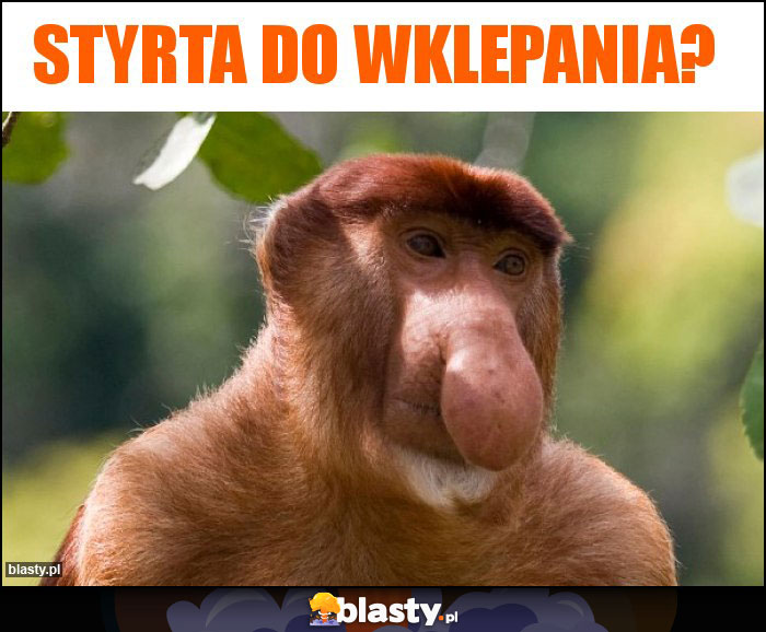 Styrta do wklepania?