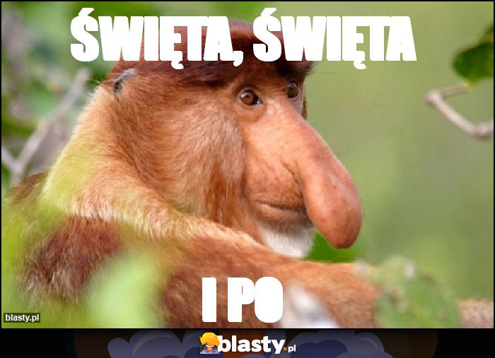 Święta, święta Święta, święta
